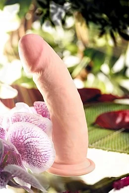 bc49fa10-54c0-4594-a720-93faa13e401d