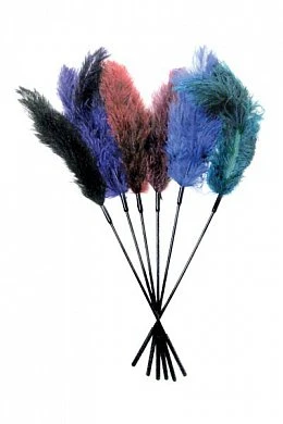 Роскошное, настоящее перо страуса.