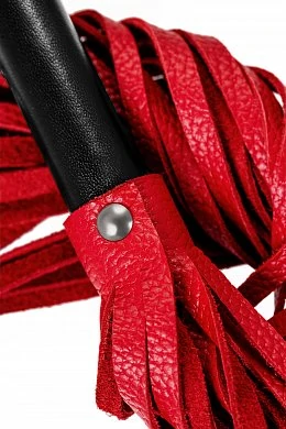 9520c86e-7203-44b0-a400-2fd363cf494c