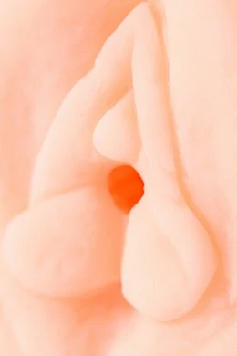 3d14264e-67da-4c2d-ac6c-47c4cfd9dcaa