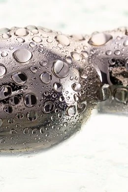 c0409c20-035a-48a7-aad8-e9e83ec0cb9f