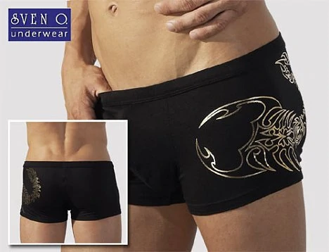 481196b3-63bd-466a-a2f1-1caaa7cf2210