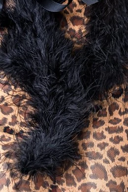 3f2a8f08-739d-4895-97a0-273e0ffcbcc4