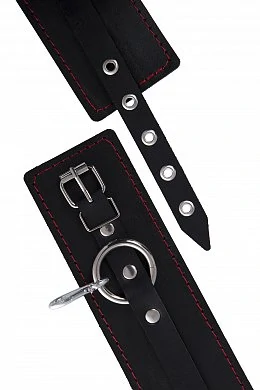 90f0cee6-fc82-461a-bd51-fd52ef35187d