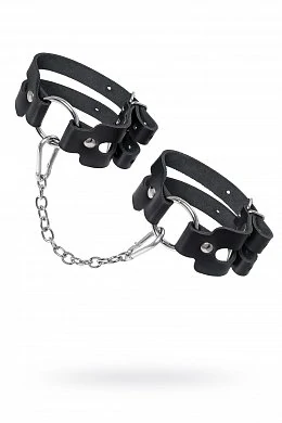 c41609fa-55db-44c0-b399-69257719ae66