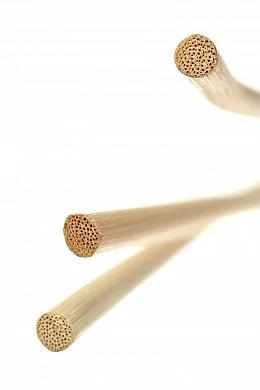 24fdb444-eaf3-4686-86e1-b130fe783f77