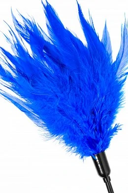 70e3e203-300b-4f8f-88e9-85db3d99a1c5