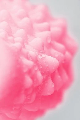 7d23afd3-1454-4d43-aef6-1131ef7ec42b