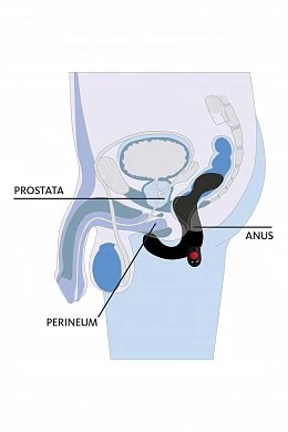 b1119f94-f4a1-4ed0-8d2d-267df318b388