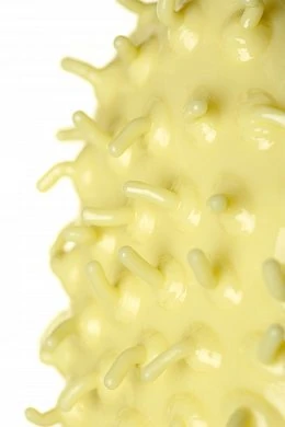 d150a370-809b-444e-b42b-2863d4832eef