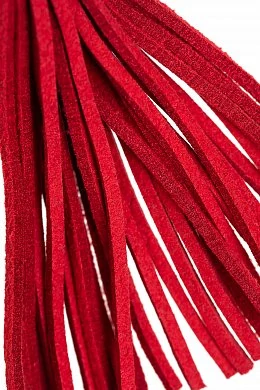 74a95d02-1f6a-45ba-8640-a870b1608f92