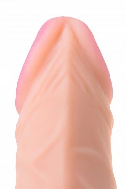 d1d290c0-2c2e-42c9-8f71-49fcd5719c3e