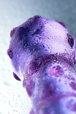 6b1e40f7-5a69-44c3-bb5d-b23a8ffc525f