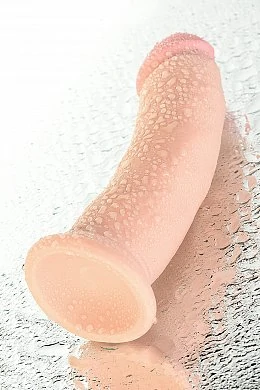 bb008ba3-97d6-4059-9edb-36fc41552098