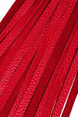 971a6f46-8950-4438-87ef-1689d04ff890