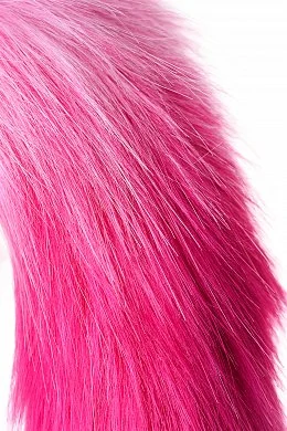 f830b6e3-102e-4bec-a0c8-3ce5635d500f