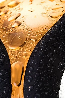 3102e88c-5bd6-456e-8bd7-178738d4a9c0