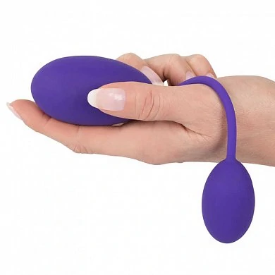 emNYrt-800-800-80Ge6dzGR