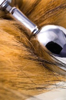 cc3bb4c9-7bdf-4d0e-96a9-511aa1475b0c