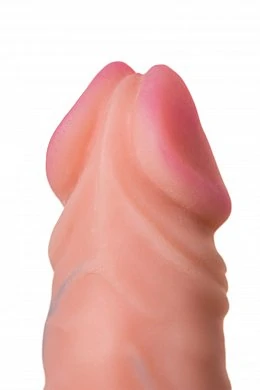 e25e4546-117c-4bef-a87d-06d8f495ab3f