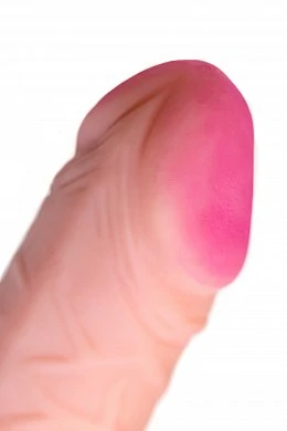 1b5a0e96-38d6-4c8d-a61a-170dda3c455e