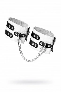 58c4d6db-7f9b-45ae-82f7-7e0b69e3fea3