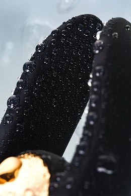 2238c173-86ff-4c8f-b221-308c44587448