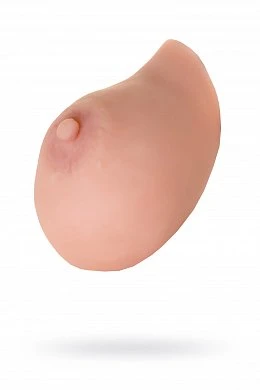 2ee62b5f-c9aa-478c-845b-061e913c1e42