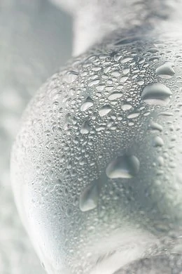 d6f36636-099f-4c75-828f-2ca160d3486d