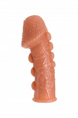 bbeda0fe-36a2-4395-9071-204cc86de903