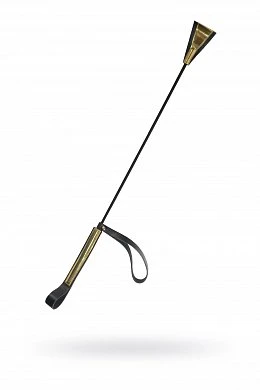 e8abcf82-f8df-4ce7-bacb-f3033da67670