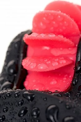 cace46b7-0863-407b-87b8-5a0292e78327