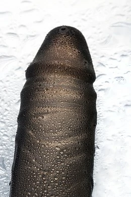 7d75f1a5-a3bd-44fd-8f49-eaeb2f647e75