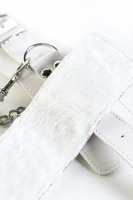 e3e51a61-bd4f-41c6-8dba-a457322d052d