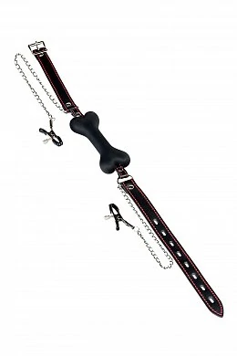 a08ff621-1742-4fc9-91ab-23b3907eff67