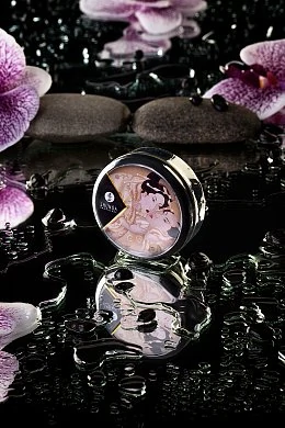 e3ace0aa-6bf2-4886-968a-d352615c6e20