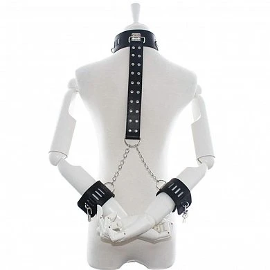 61fRdfOM2aL._AC_SL1431_