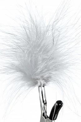 73ac4cda-a64d-43b4-b852-4fc2698638e5