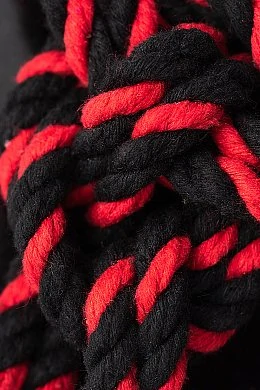 ab67bbd0-58e9-4407-b7f4-28920f10bd3d