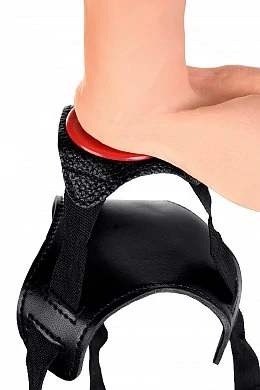 4d5c06d9-9d33-4ea5-a69d-a7978dc3fc7a