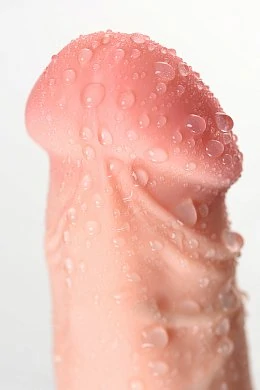 d41a43a0-a392-47ef-bbe7-831d96995e49