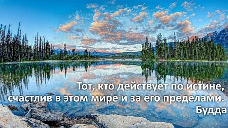 WhatsApp Image 2022-11-15 at 21.32.17