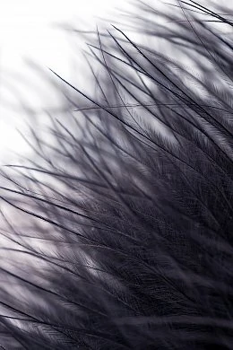 8cf50269-8bff-4f9b-a0d0-a8d852d078ac