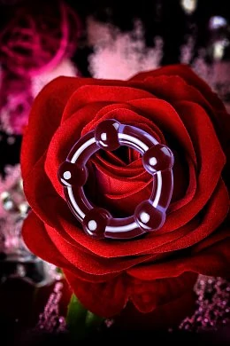 1b9e15dc-4d61-496f-9e28-ed78b143f92a