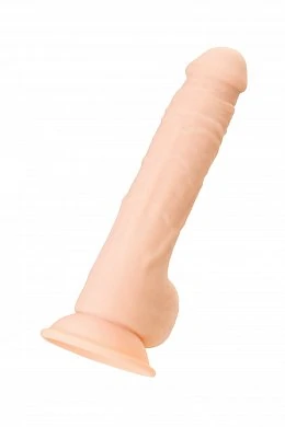 1aa9b1d1-6898-4d9c-ace8-616c4f5b2c61