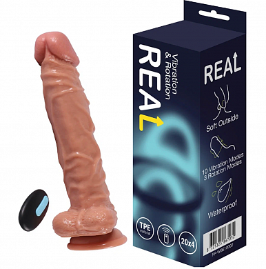 Снимок экрана 2025-08-31 171706